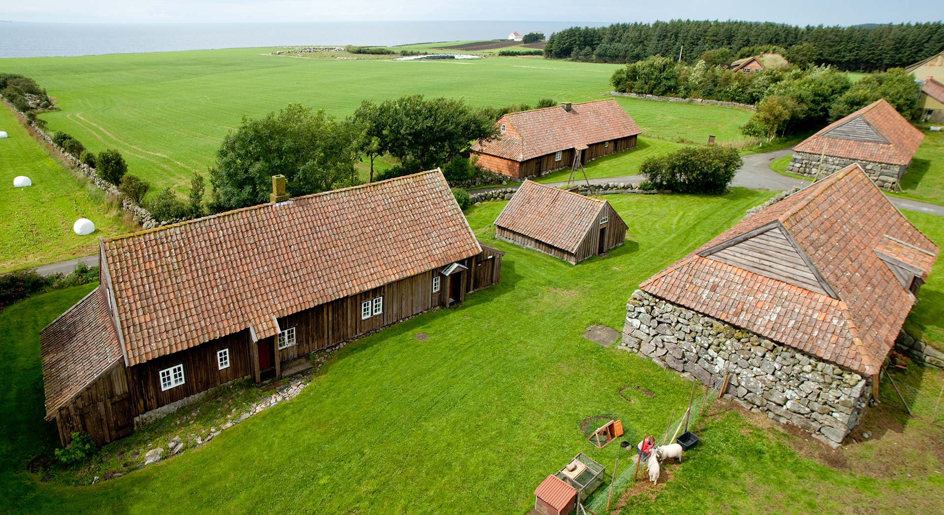 Grødalandstunet sett frå lufta, med gardshusa, jordene og sjøen i bakgrunnen